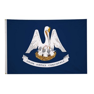 5' x 8' State Flag