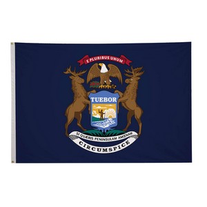 5' x 8' State Flag