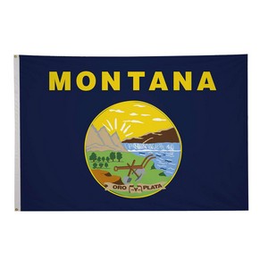 5' x 8' State Flag
