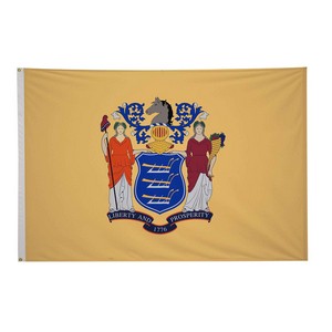 5' x 8' State Flag