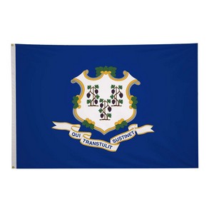 5' x 8' State Flag