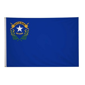 5' x 8' State Flag