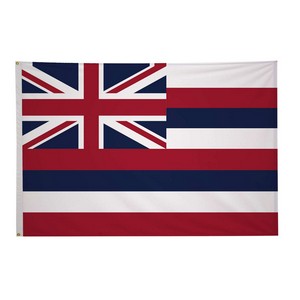 5' x 8' State Flag