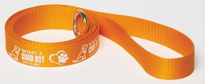 6' Pet Slip Leads