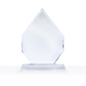 7" Arrowhead Award