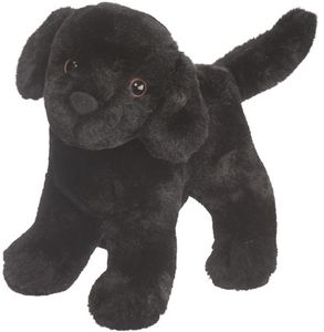 Abraham Black Lab