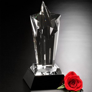 Acclaim Star 10"
