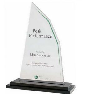 Acrylic 8 Award
