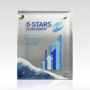 Acrylic Plaque 8x10 Rising Edge