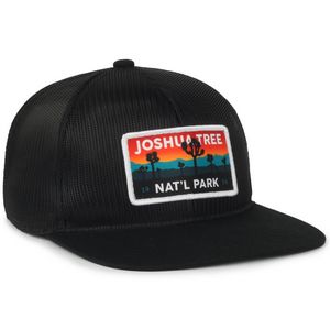 All Mesh Cap