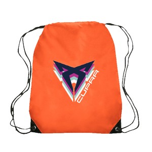 Altair Black Trim Drawstring Bag