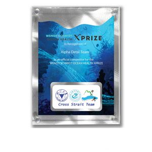 Alumo-Tech II Plaque w/4-Color Process (8"x 10"x 1")