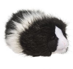 Angora Guinea Pig