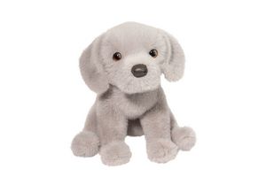 Argento Floppy Silver Lab