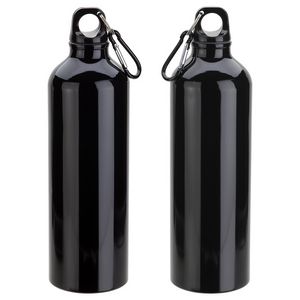 Atrium 25 oz Aluminum Bottle