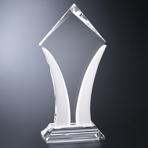 Aurora Award 12"