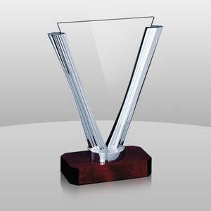 Award (11"x8 1/4"x3")