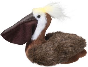 Beachy Pelican