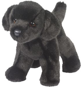 Bear Black Lab