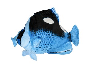 Black and Blue Fish