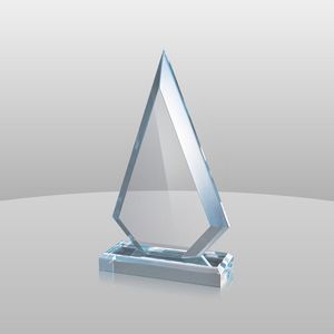 Blue Arrowhead Award (10 3/4"x6"x2")