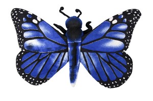 Blue Butterfly