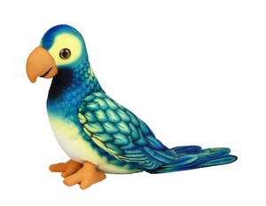 Blue Parrot