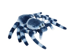 Blue Tarantula