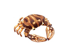 Brown Crab