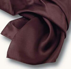 Brown Polyester Satin Scarf - 8"x45"