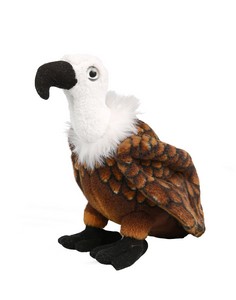 Brown Vulture