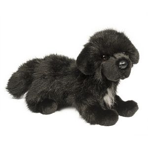 Bundy Newfoundland