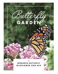 Butterfly Garden Seed Pack