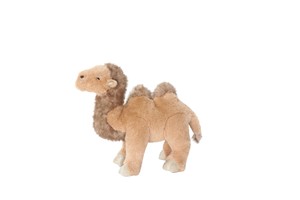 Camel