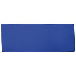 Carabiner Bottle with Cooling Towel
