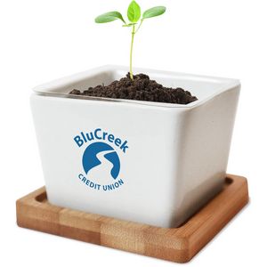 Ceramic Planter Kit