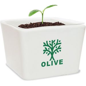 Ceramic Planter Kit