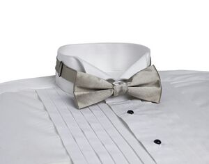 Champagne Beige Banded Bow Tie
