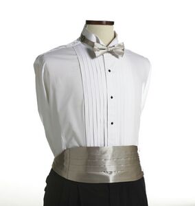 Champagne Beige Cummerbund