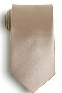 Champagne Beige Polyester Satin Tie