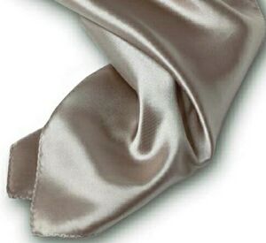 Champagne Beige Silk Scarf - 8"x45"