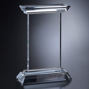 Chatfield Award 9"
