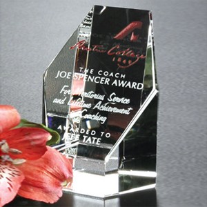 Citadel Award 3-1/4"
