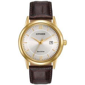 CitizenÂ® Men's Eco-Drive Watch With Brown Leather Strap