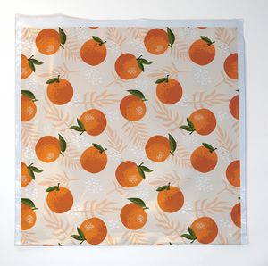 Citrus Predesigned Poly Mailer (14.25" x 12")
