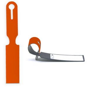Classic Leather Luggage Tag