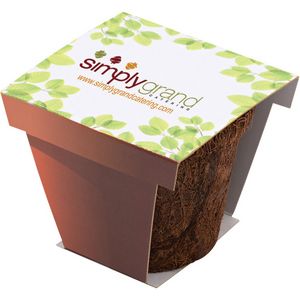 CoCo Planter Kit
