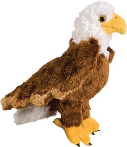 Colbert Eagle