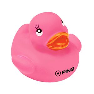 Colorful Duck