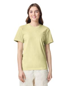Comfort Colors Adult Heavyweight T-Shirt
